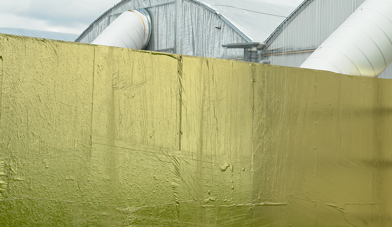 excorporal_gold_10_01